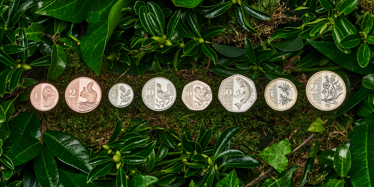 Definitives Activity Pack